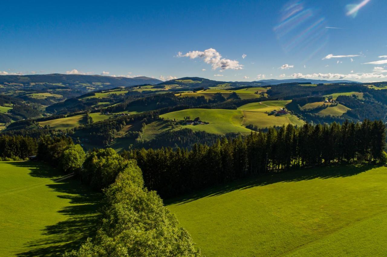 Отель Der Almblick Strallegg Экстерьер фото