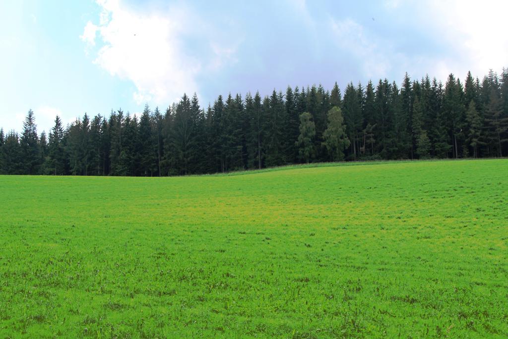 Отель Der Almblick Strallegg Экстерьер фото