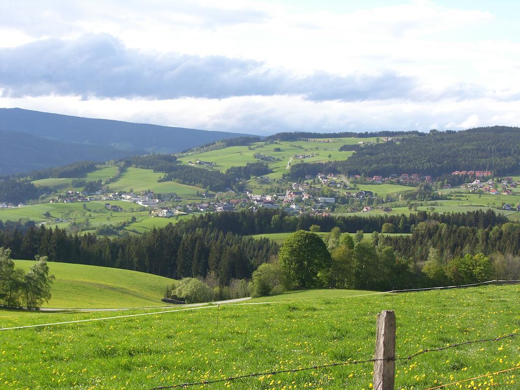 Отель Der Almblick Strallegg Экстерьер фото